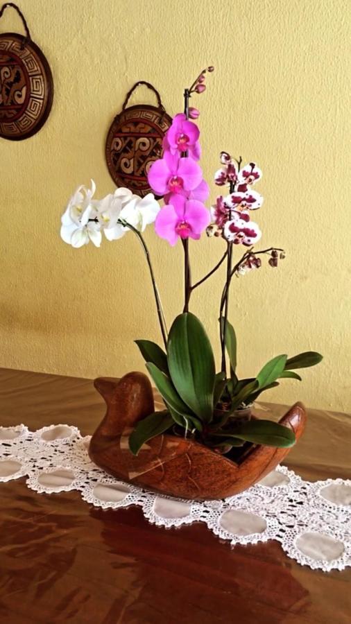 Casamar Maragogi Residence Zewnętrze zdjęcie